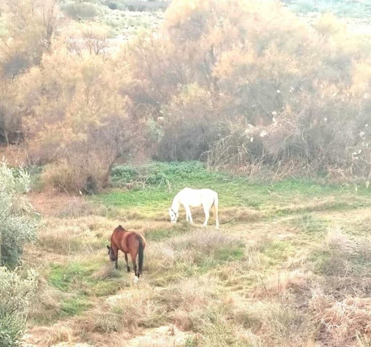 Swallows Nest Fines Εξωτερικό φωτογραφία